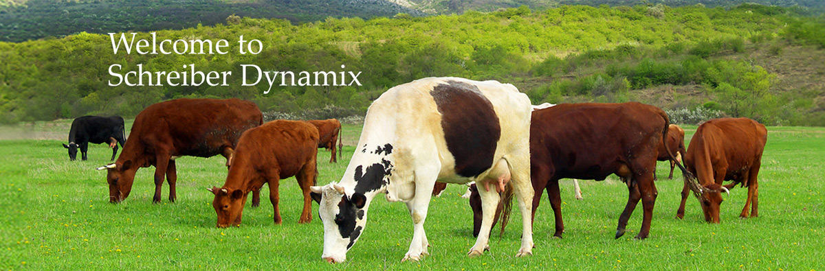 Schreiber Dynamix - Top Dairy Company India